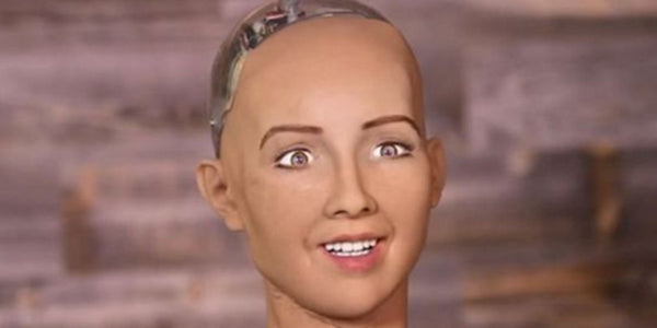 Sophia and a History of Robots