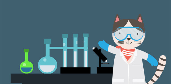 What Does a Scientist Look Like?