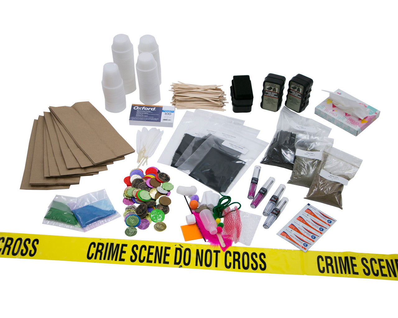 Missing Money Mystery Deluxe Summer Camp Kit-PCS edventures.com
