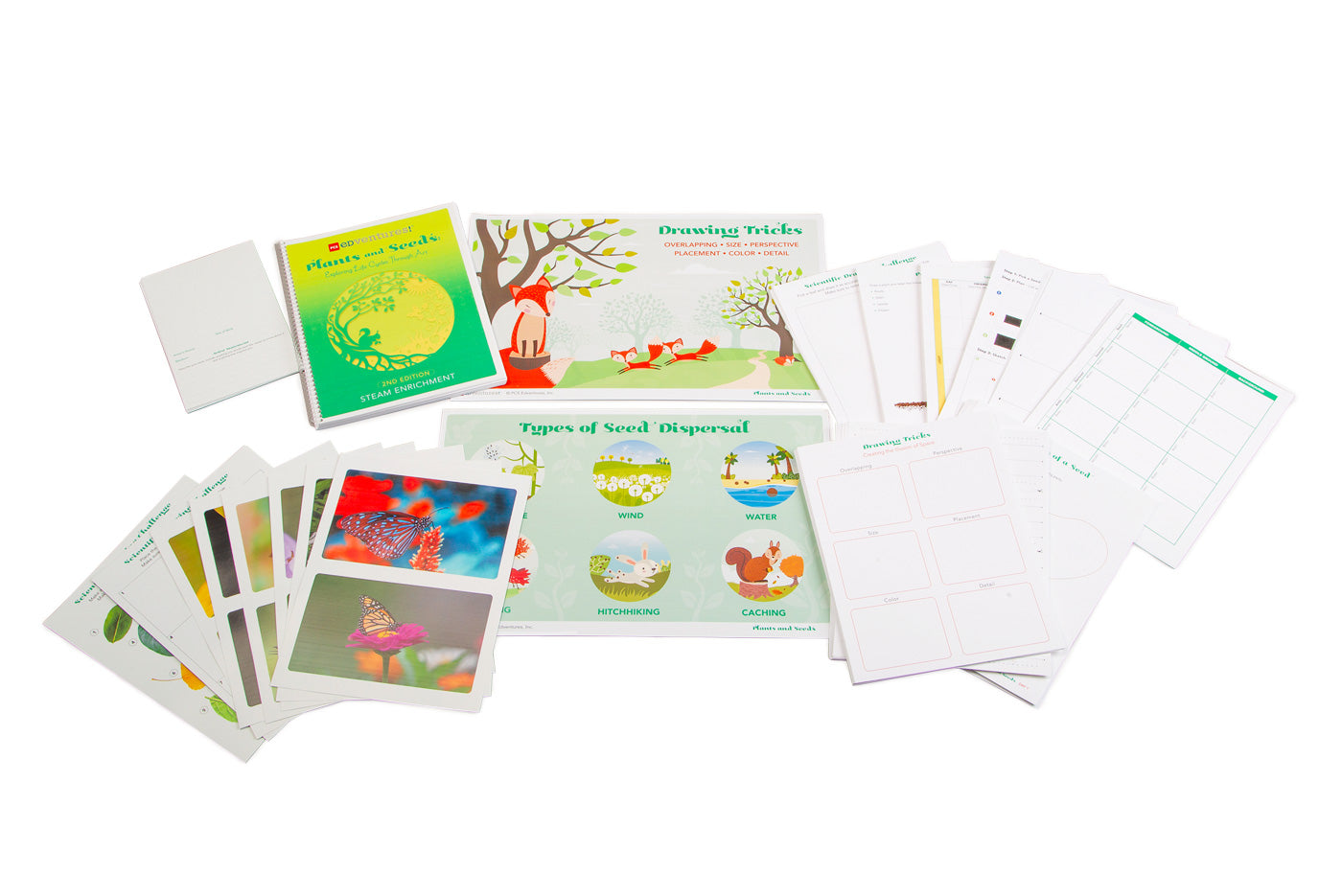 Plants and Seeds 2nd Edition Curriculum
