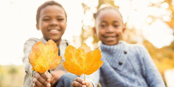 Seasonal STEM Challenges for Fall