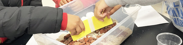 Turning Natural Disasters into Teachable Moments